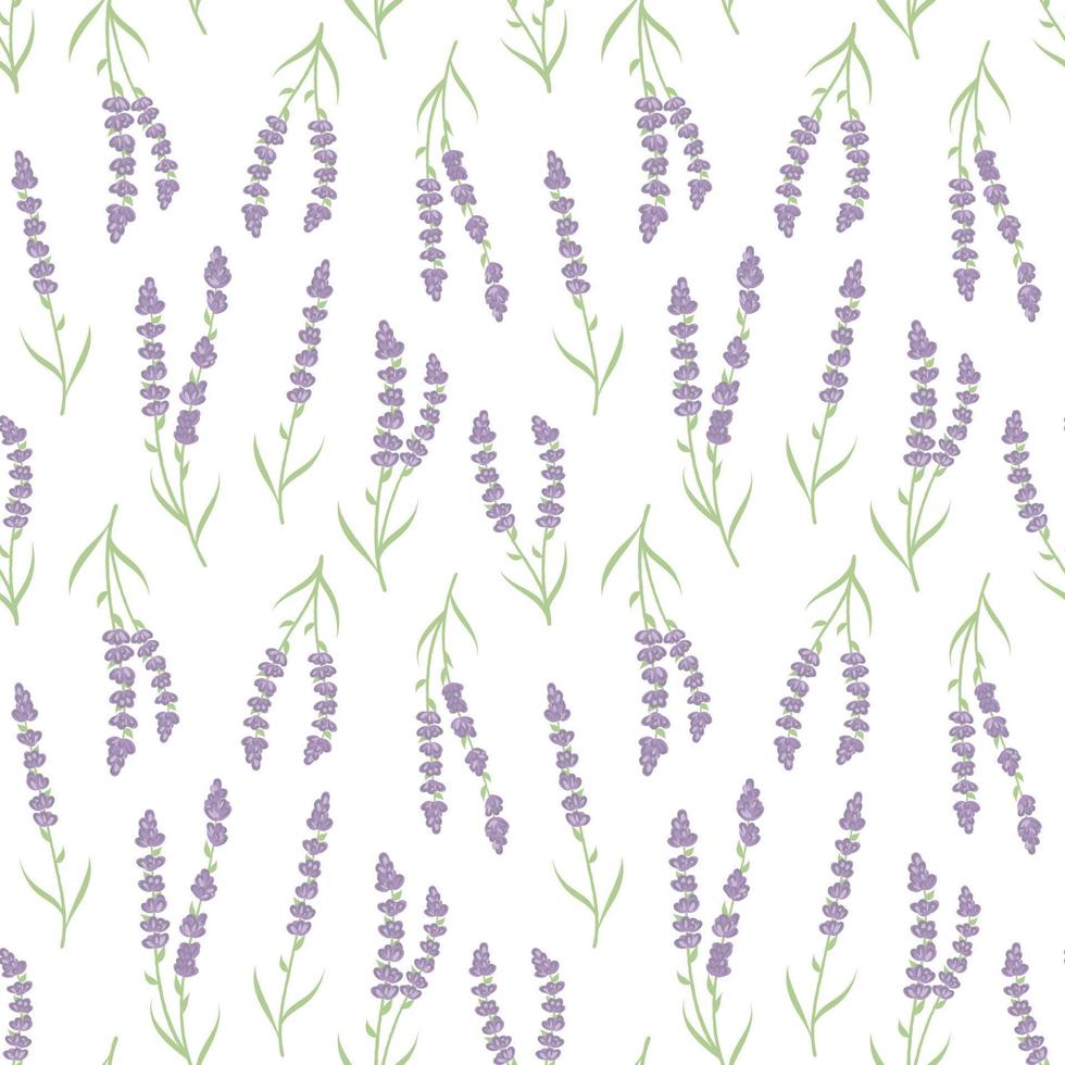 schattig bloemen lavendel naadloos herhaling patroon achtergrond vector. vector