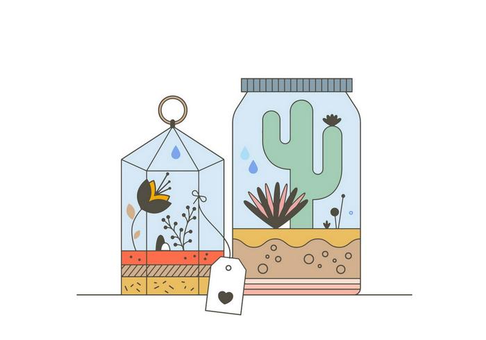 cactus terrarium vector