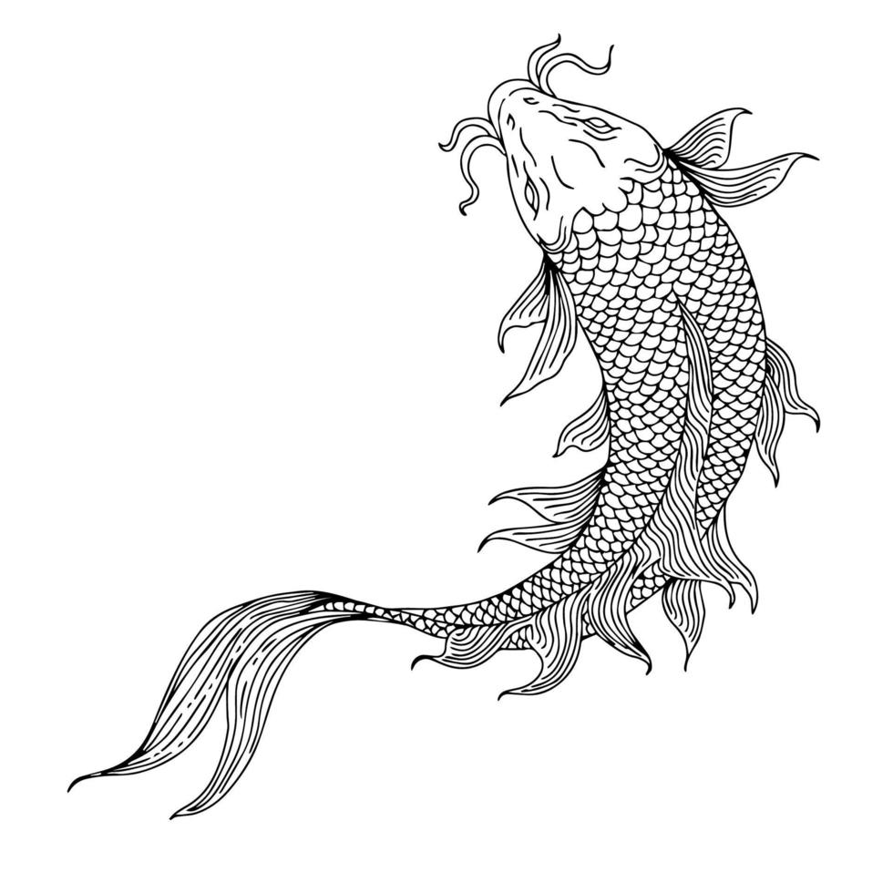 ontwerp illustratie Aziatisch goud vis schets vector