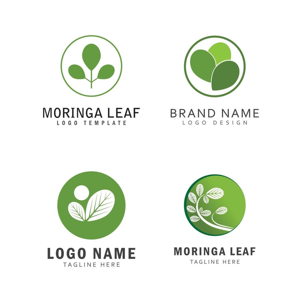 moringa blad logo sjabloon vector symbool natuur