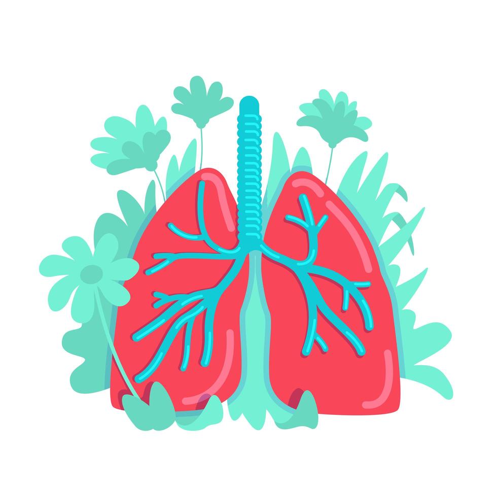 anatomisch longsysteem vector