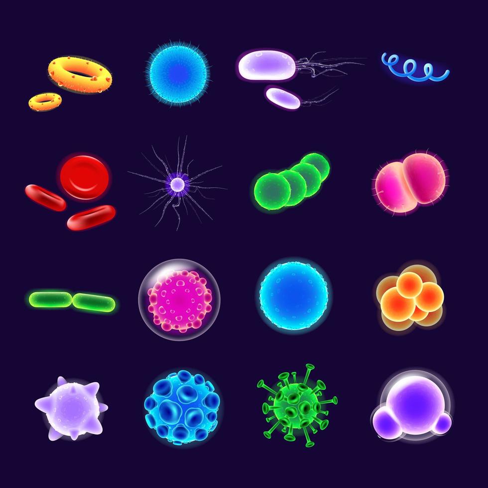 bacteriën realistische pictogrammen instellen vector