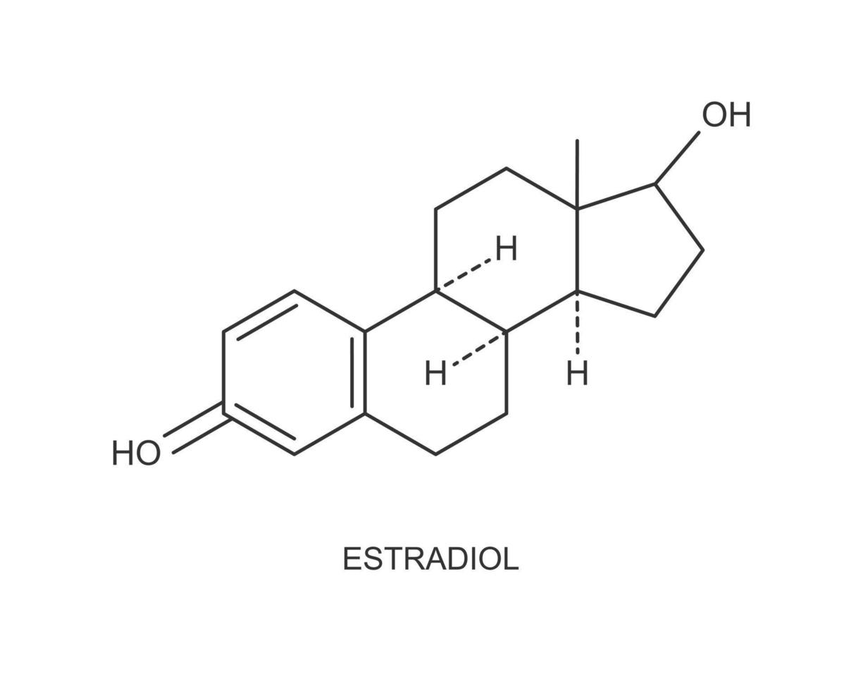 oestradiol icoon. chemisch moleculair structuur. vrouw steroïde seks hormoon teken geïsoleerd Aan wit achtergrond. hormoon vervanging behandeling concept vector