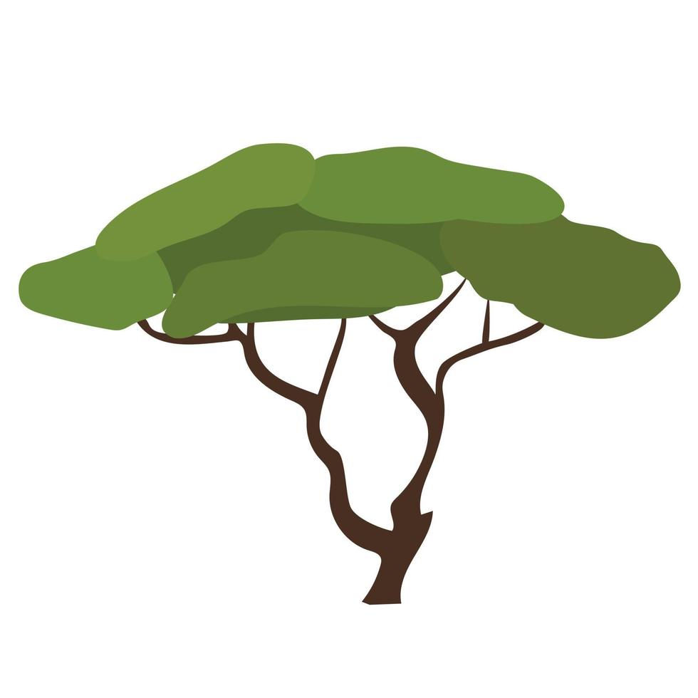 acacia geïsoleerd Aan wit achtergrond. vector illustratie. boom in woestijn.