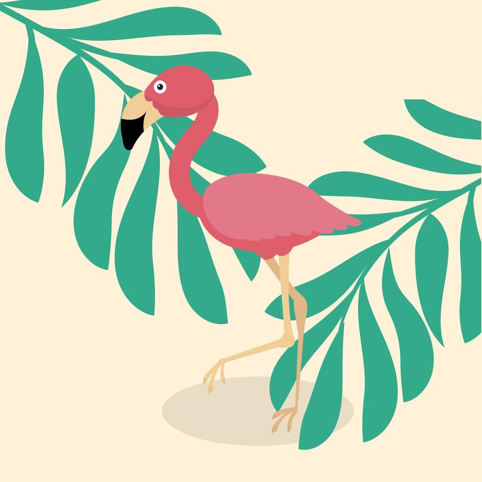 schattige flamingo tropische vector