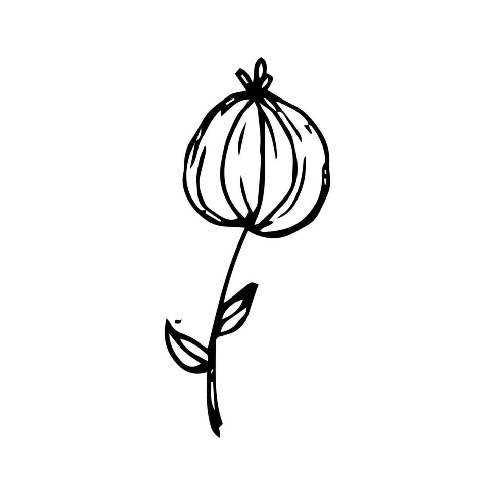 vector minimalistisch hand- getrokken bloemen. illustratie van bloemen uitnodiging en decoratie in wijnoogst stijl