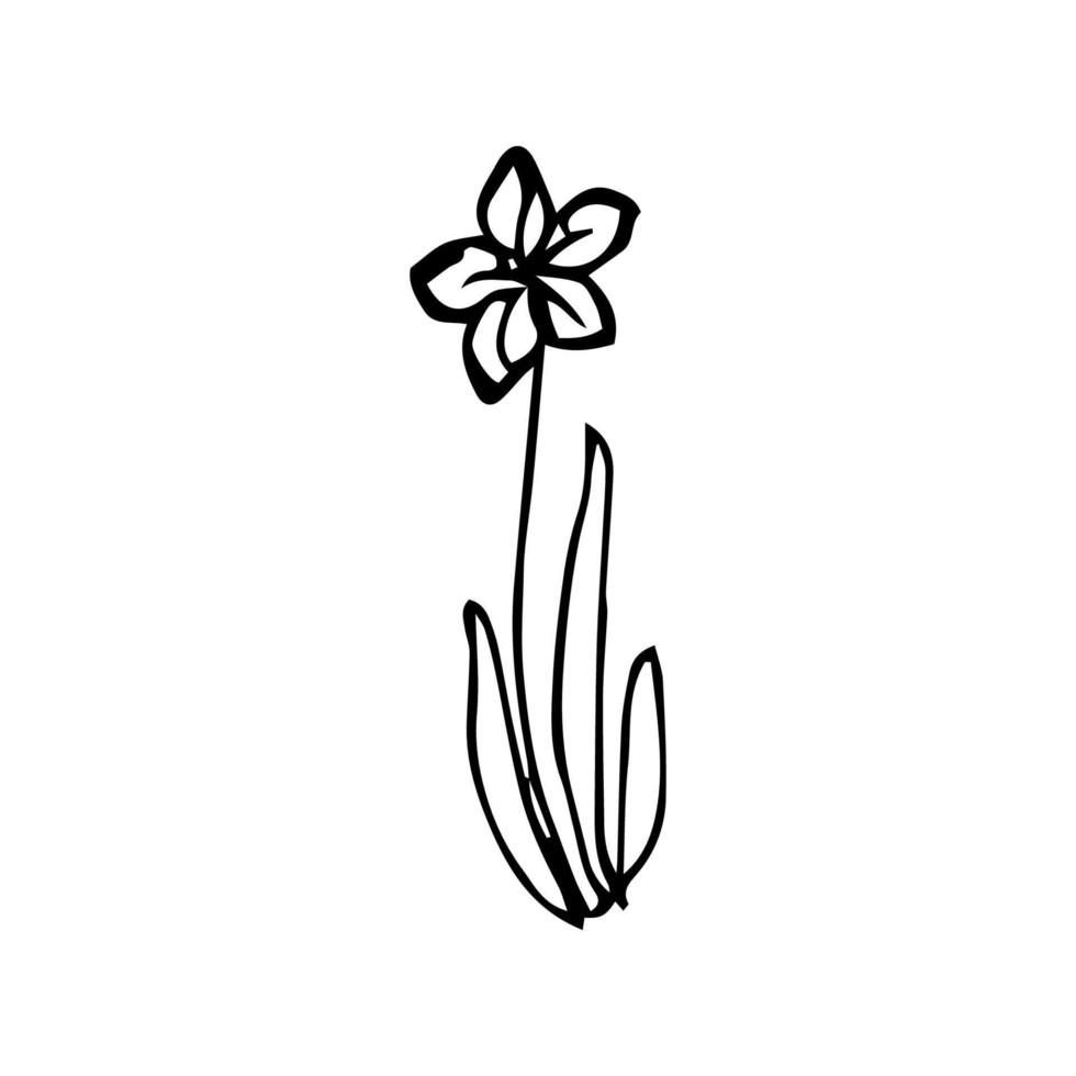 vector minimalistisch hand- getrokken bloemen. illustratie van bloemen uitnodiging en decoratie in wijnoogst stijl