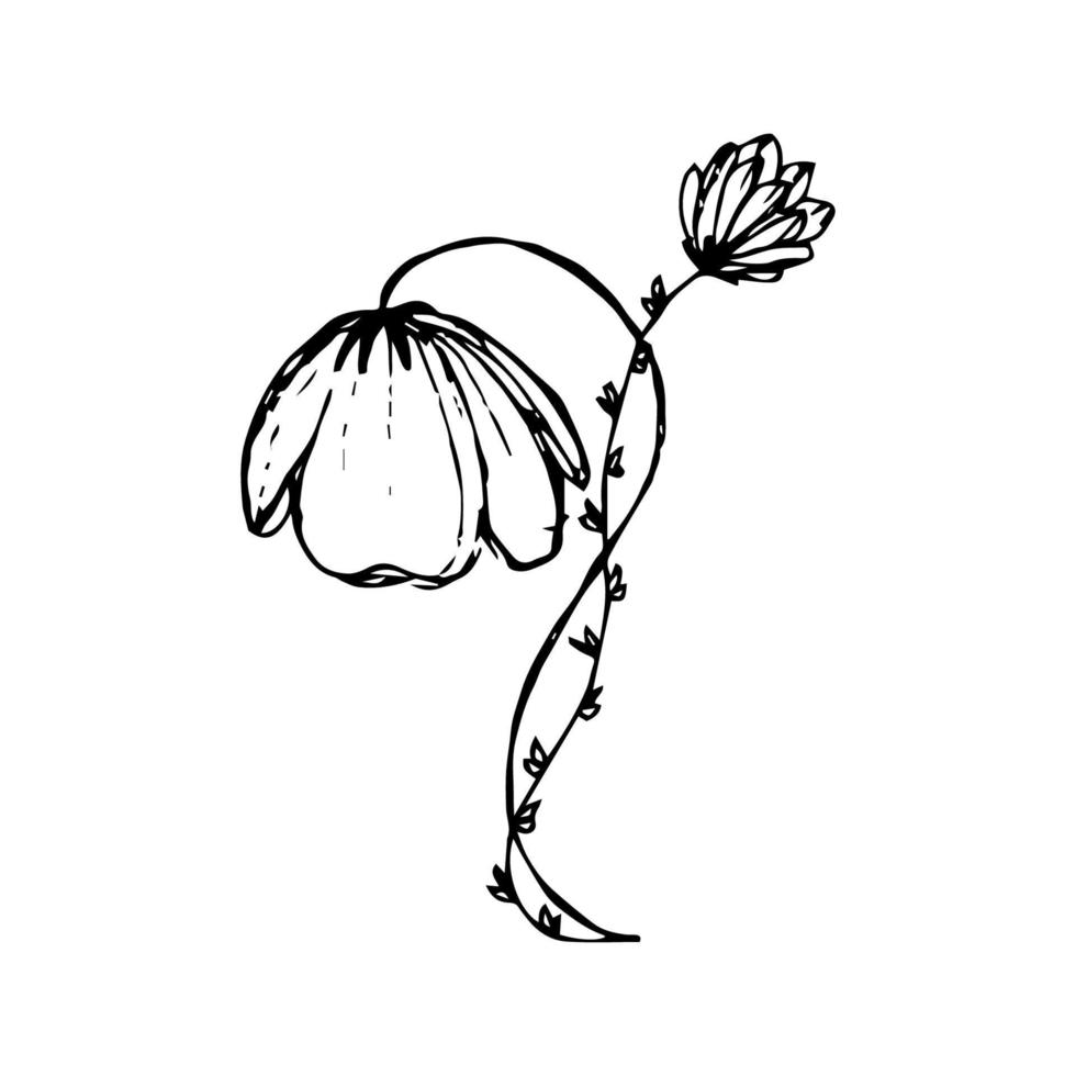 vector minimalistisch hand- getrokken bloemen. illustratie van bloemen uitnodiging en decoratie in retro stijl