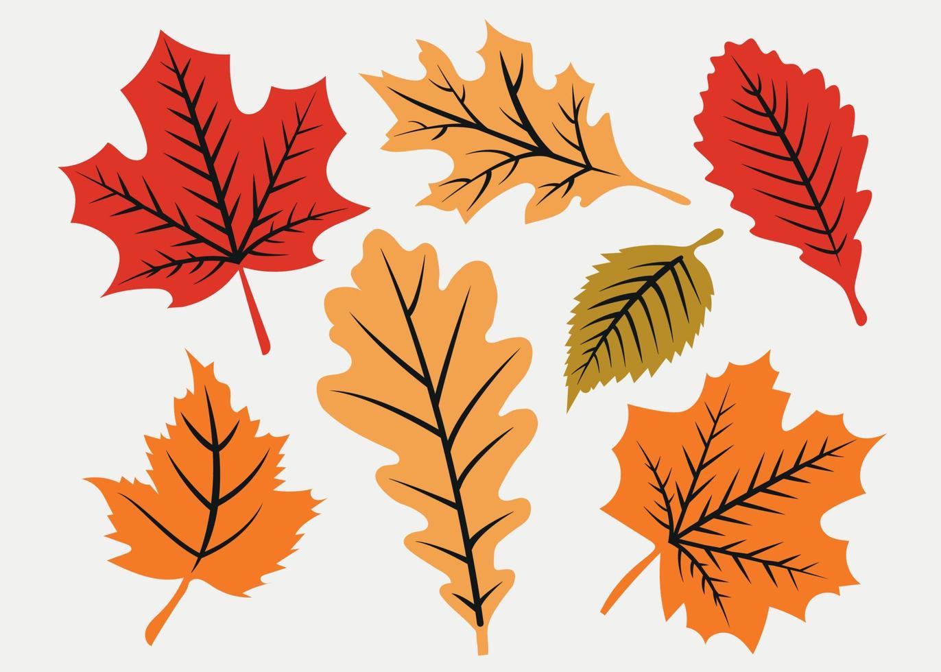 herfst vallend bladeren geïsoleerd Aan transparant achtergrond. geel en oranje gebladerte verzameling. illustratie vector