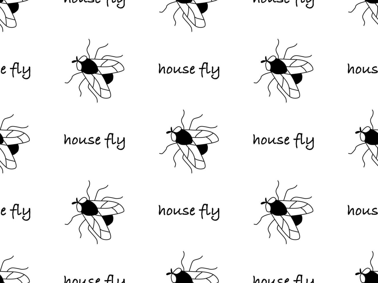 huisvlieg tekenfilm karakter naadloos patroon Aan wit achtergrond vector