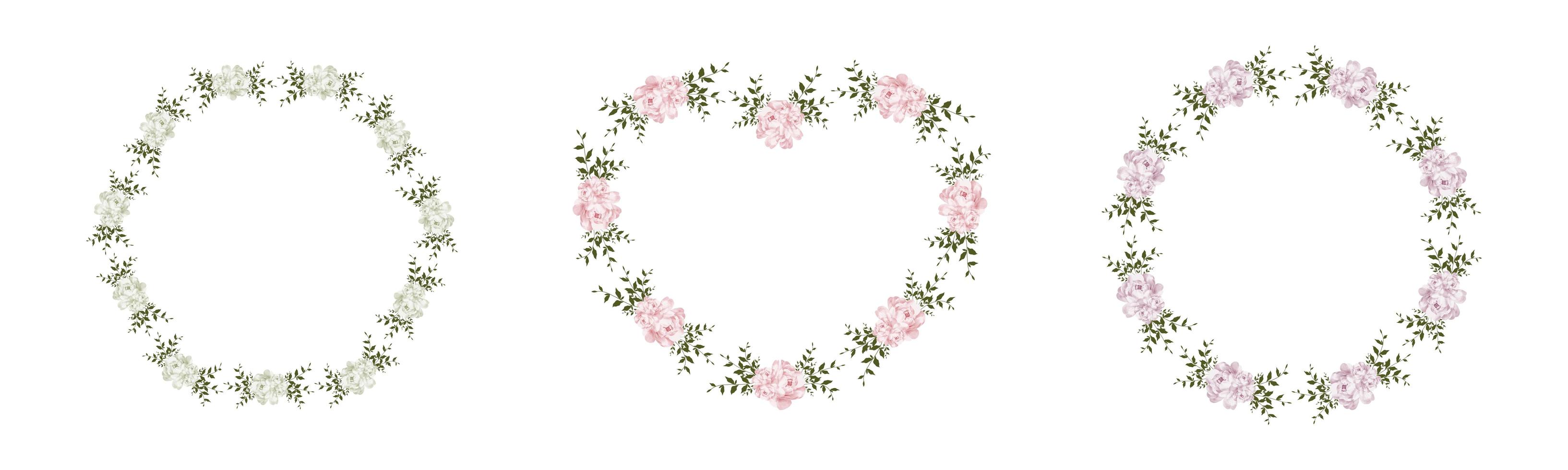 bloemen kaderset vector