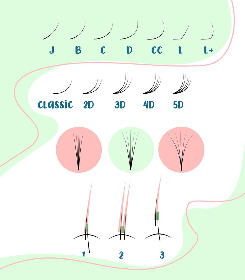 wimper uitbreiding opleiding poster. curves en volume van wimpers tips en trucs voor wimper uitbreidingen. informatie over wimper extensies correct en niet correct bijlage. vector