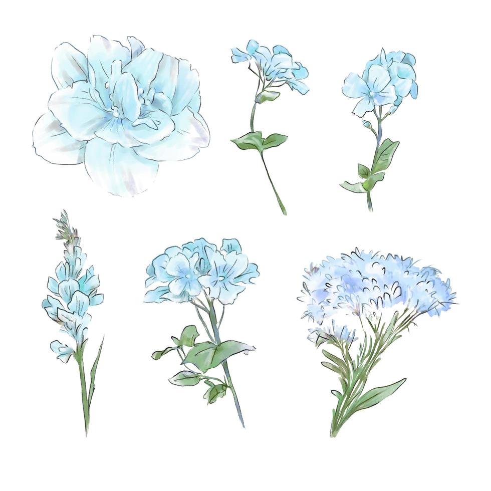 set aquarel tedere bloemen en bladeren vector