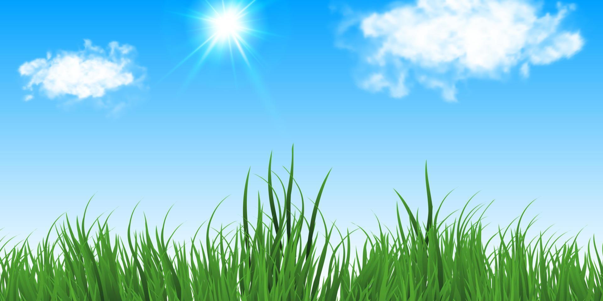 groen achtergrond met zon en gras, vector voorjaar achtergrond