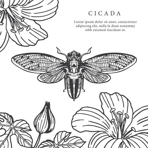 Cicada Hand Getekende Achtergrond Vector