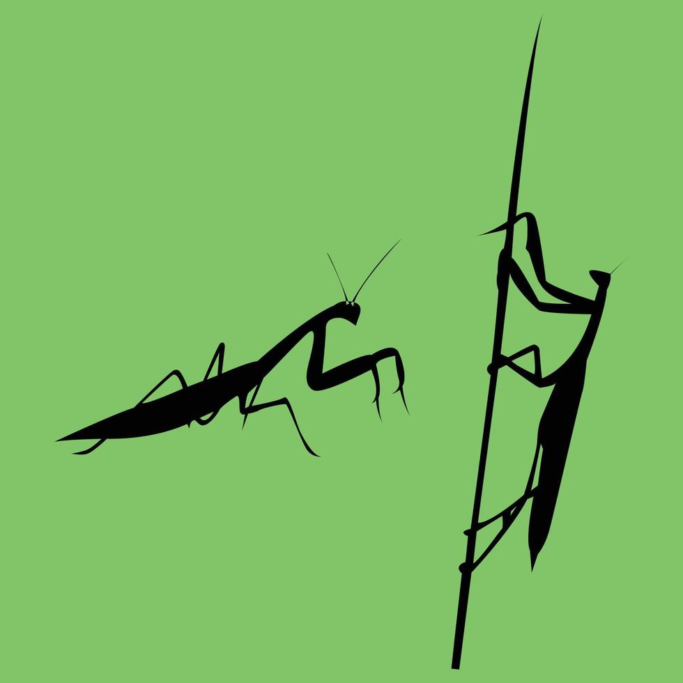 vector illustratie silhouet insect bidden bidsprinkhaan reeks geïsoleerd Aan wit achtergrond