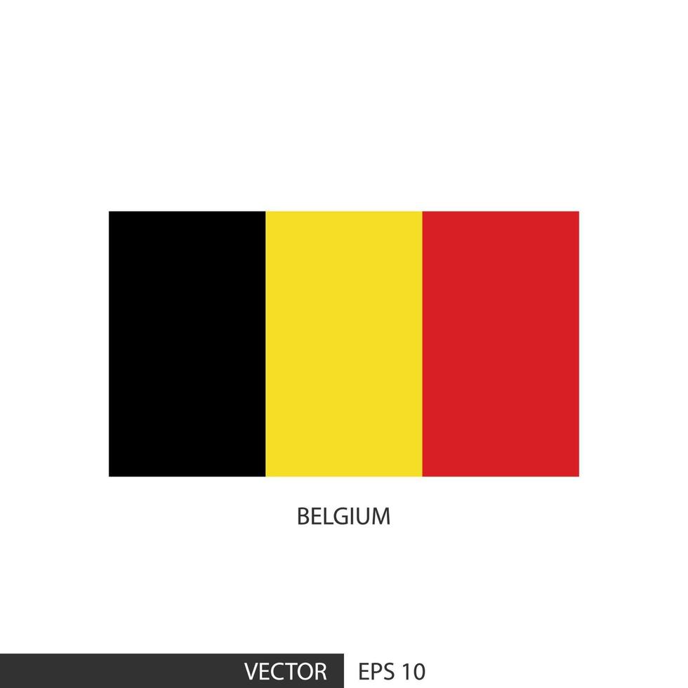 belgie plein vlag Aan wit achtergrond en specificeren is vector eps10.