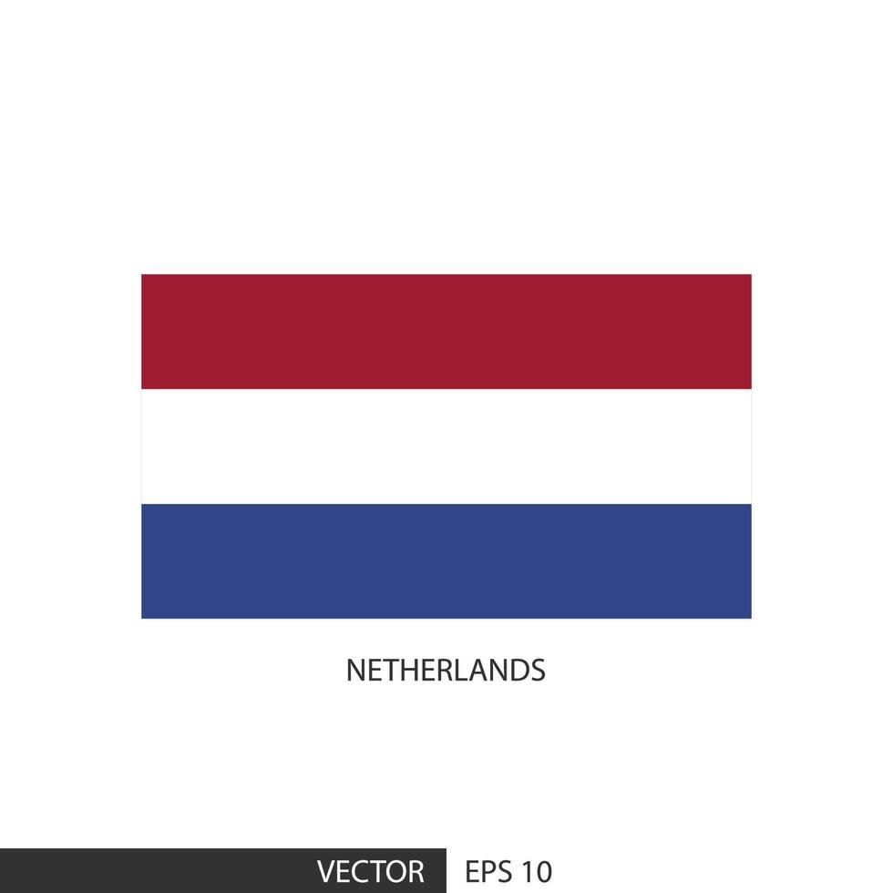 Nederland plein vlag Aan wit achtergrond en specificeren is vector eps10.