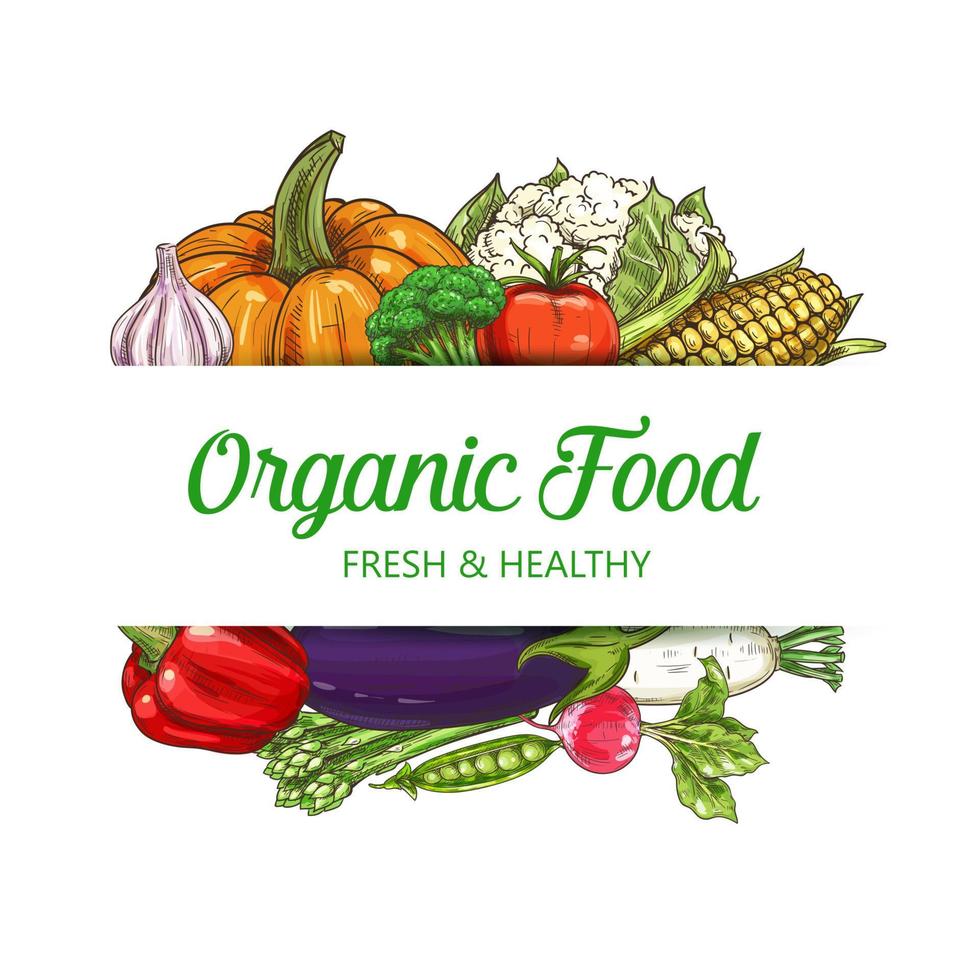biologisch vegetarisch voedsel, boerderij groenten vector