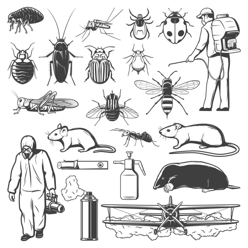 plaag controle verdelger, insect en knaagdier pictogrammen vector
