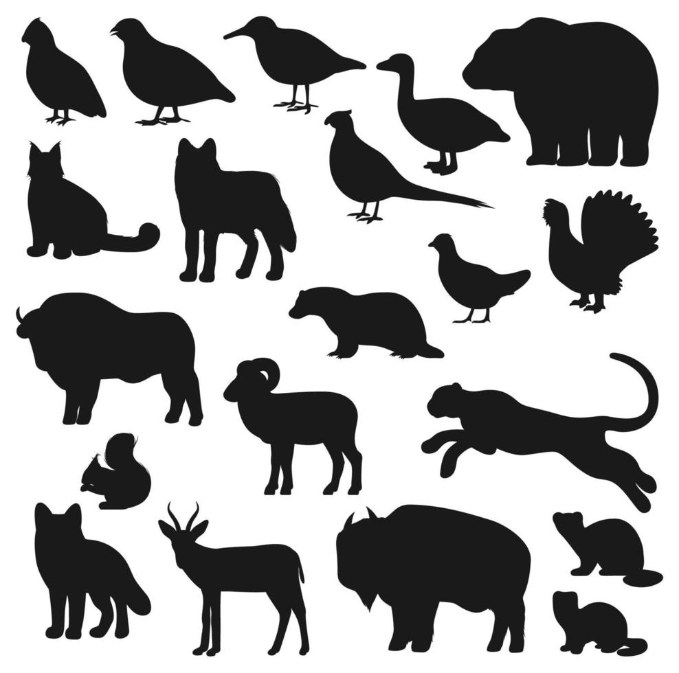 beer, eend, buffel, wolf, panter, vos silhouet vector
