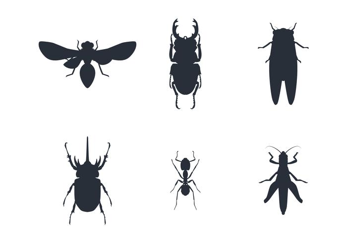 Insect Silhouette Set vector