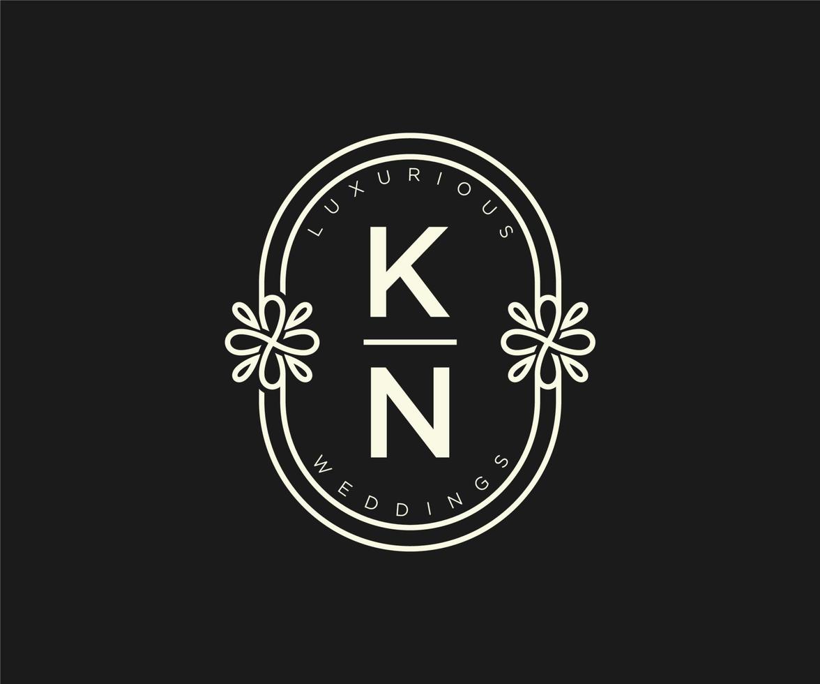 kn initialen brief bruiloft monogram logos sjabloon, hand- getrokken modern minimalistisch en bloemen Sjablonen voor uitnodiging kaarten, opslaan de datum, elegant identiteit. vector