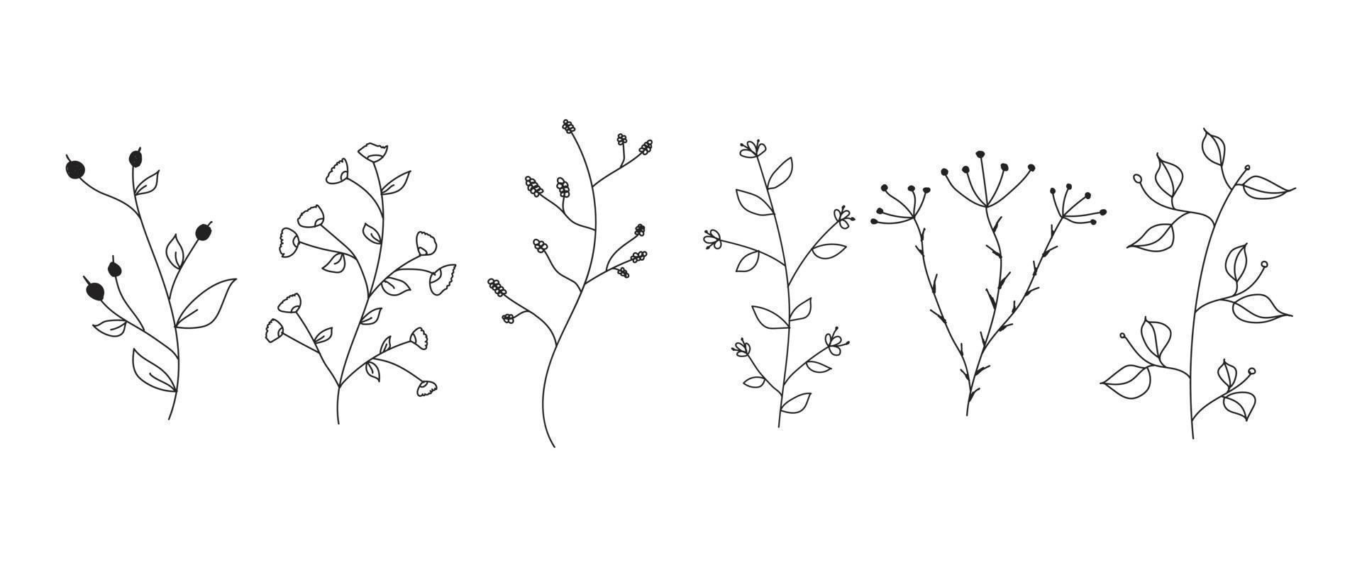 schattig hand- getrokken reeks van grafisch bloemen en kruiden elementen. tekening vector botanisch illustratie