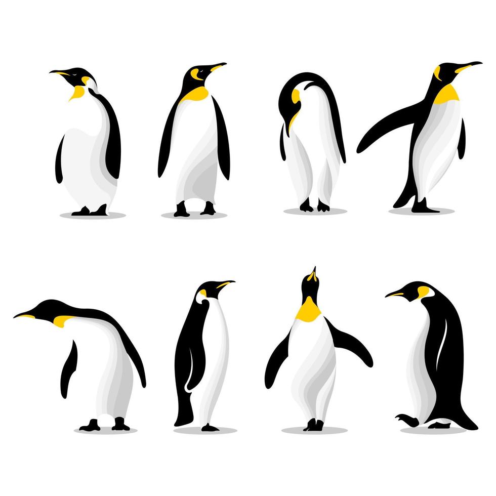 schattig pinguïns in verschillend poses vector illustratie