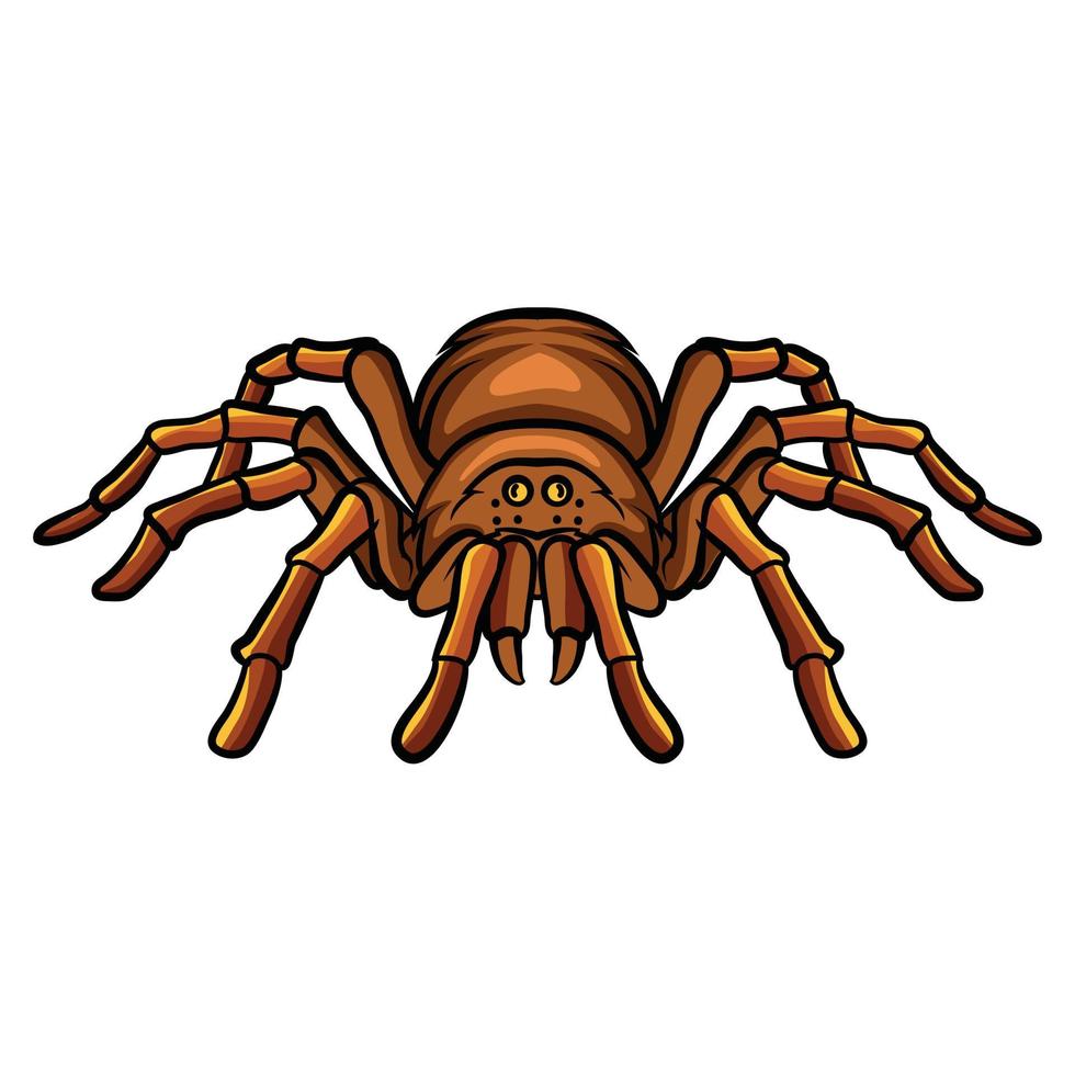 tarantula vector illustratie ontwerp