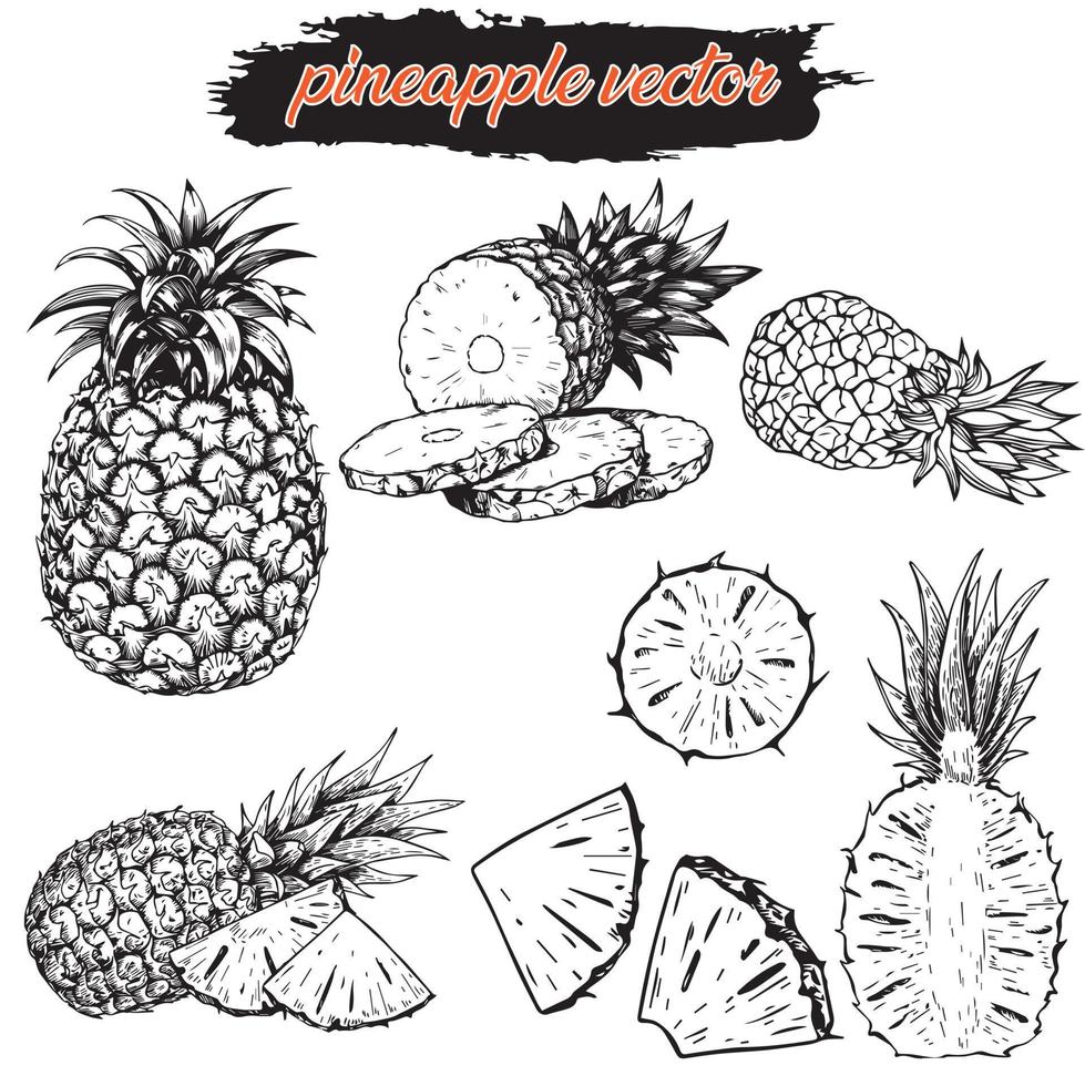 ananas silhouet reeks vector. plakjes van ananas. ananas plak silhouet vector