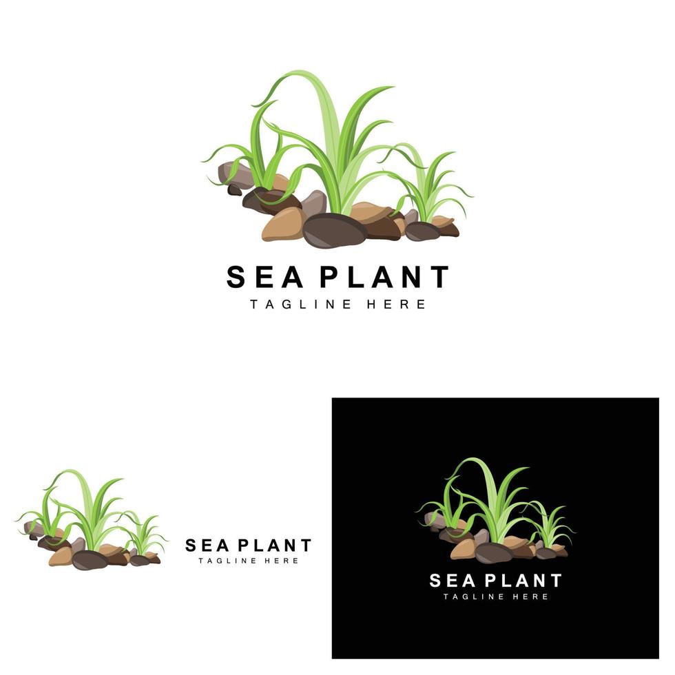 zeewier logo, zee planten vector ontwerp, kruidenier en natuur bescherming