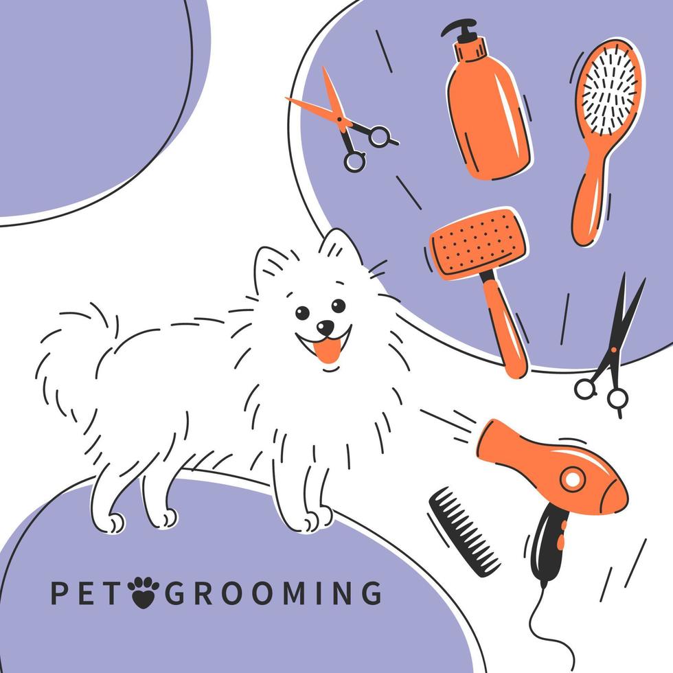 huisdier zorg salon. huisdier poetsen. tekenfilm hond karakter met verschillend gereedschap voor dier haar- poetsen, kapsels, baden, hygiëne. huisdier zorg salon concept. vector