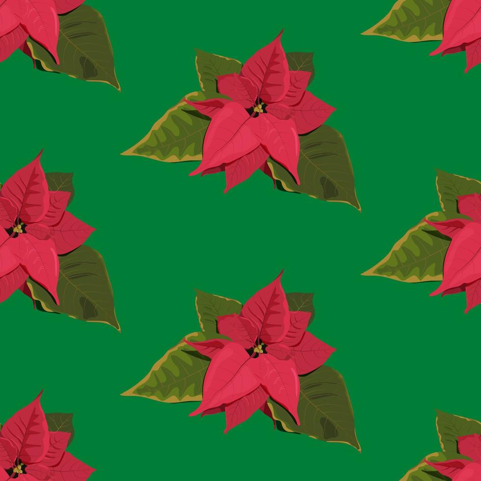 rood kerstster bloem en groen bladeren Aan de groen achtergrond. Kerstmis decoratie naadloos patroon. vector geïsoleerd illustratie in vlak stijl.