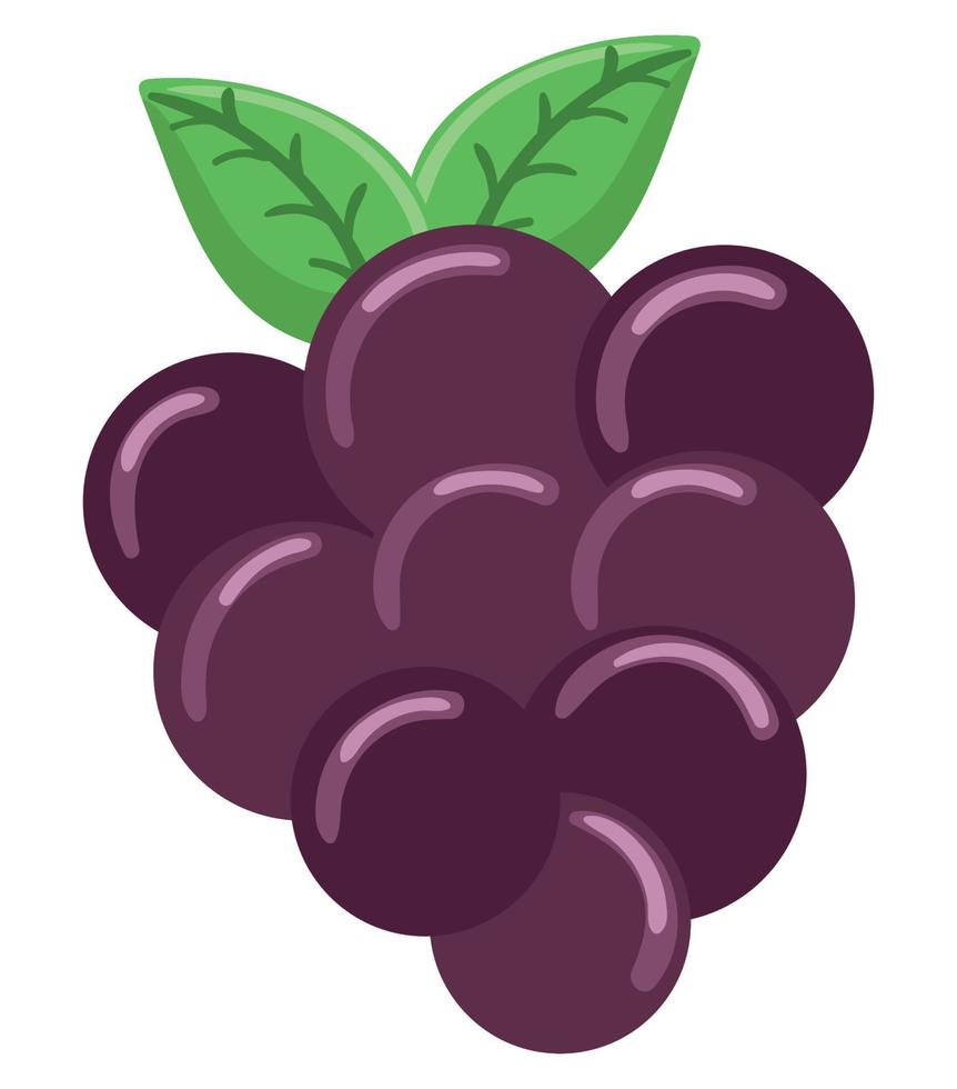 druif fruit icoon vector