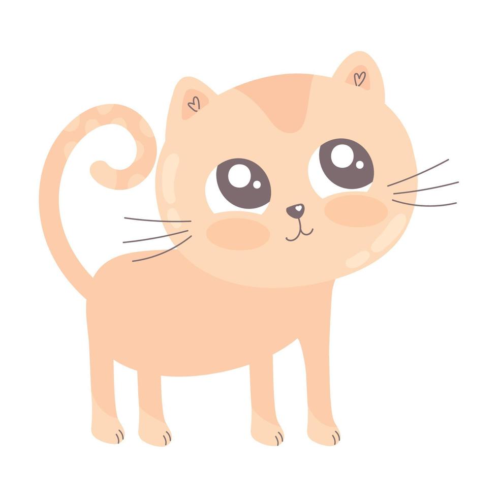 kat schattig dier vector