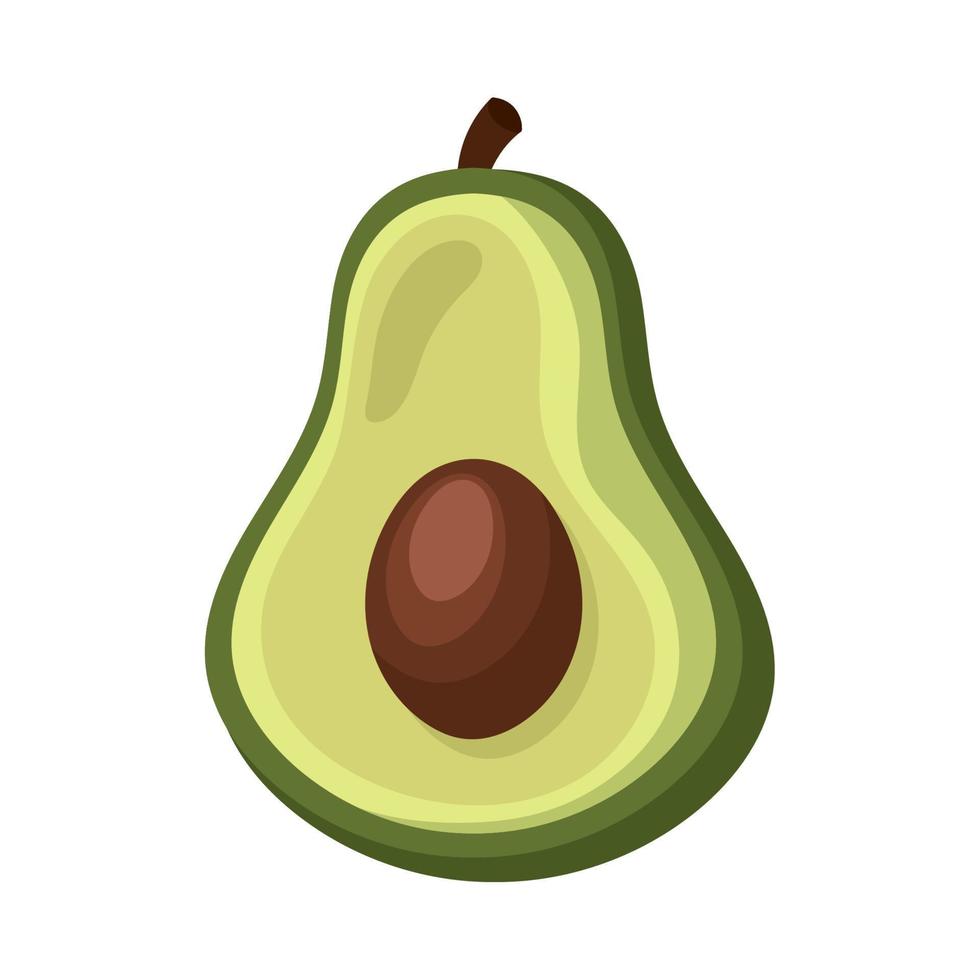 verse avocado groente vector