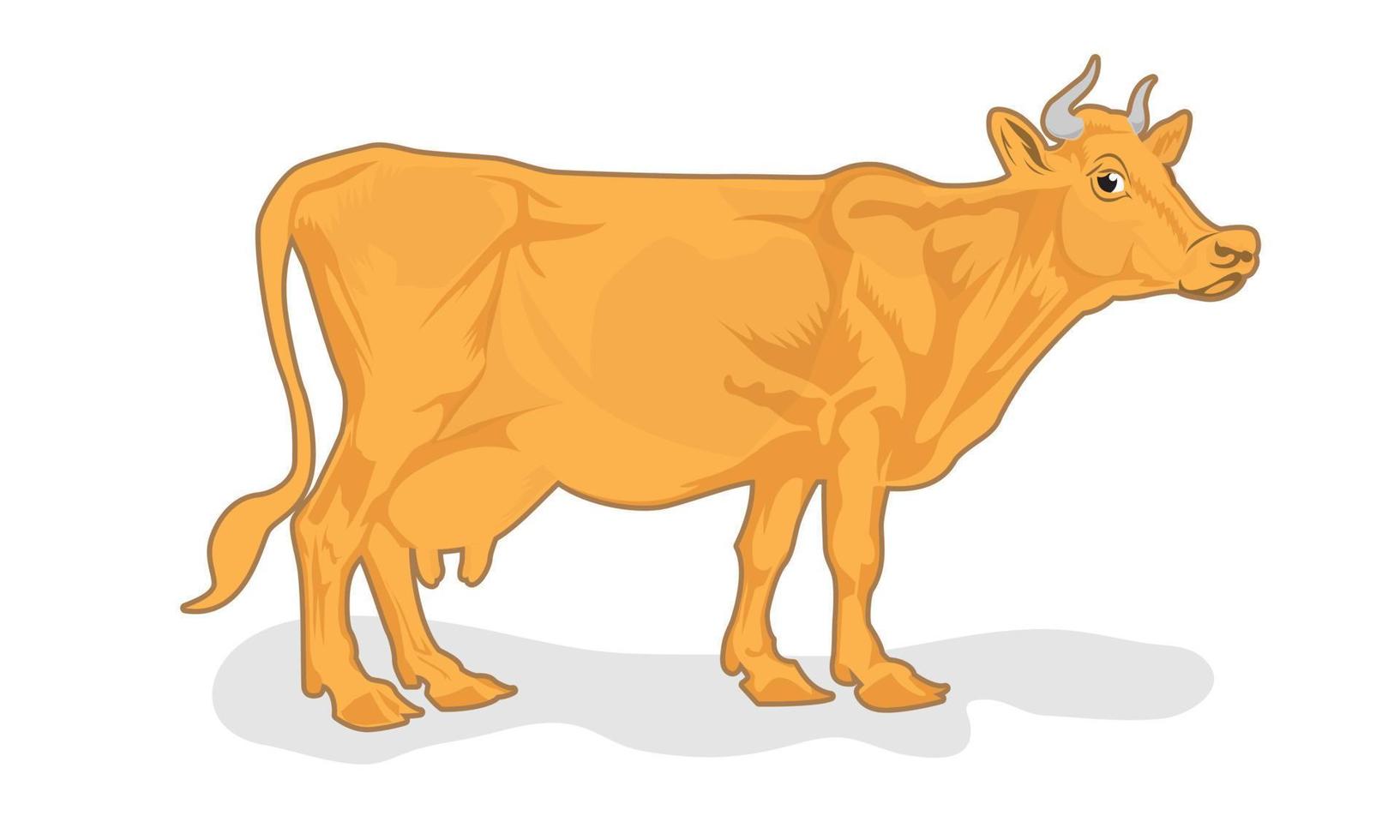 vector illustratie van koe geïsoleerd Aan wit achtergrond