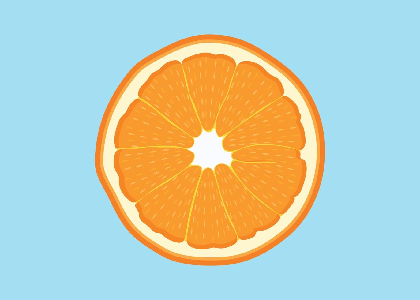 oranje citrus fruit hand- getrokken realistisch stijl vitamine c illustratie. spleet fruit concept. vector