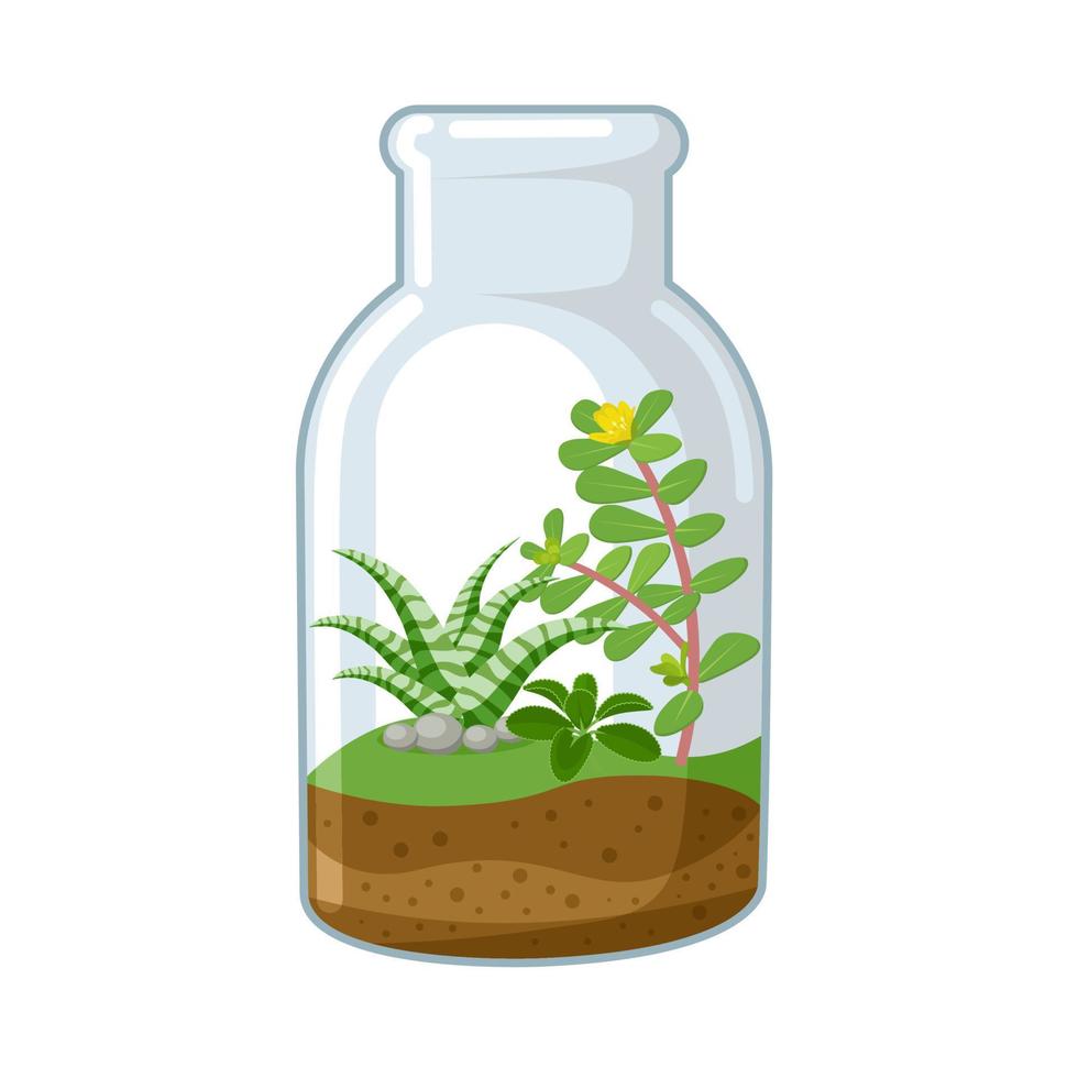 vector illustratie, schattig terrarium in een glas kan, geïsoleerd Aan wit achtergrond.