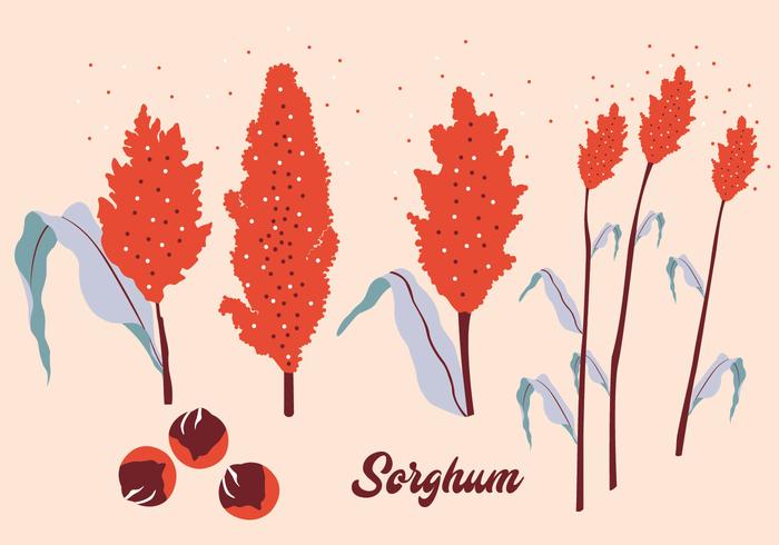 sorghum vector pack