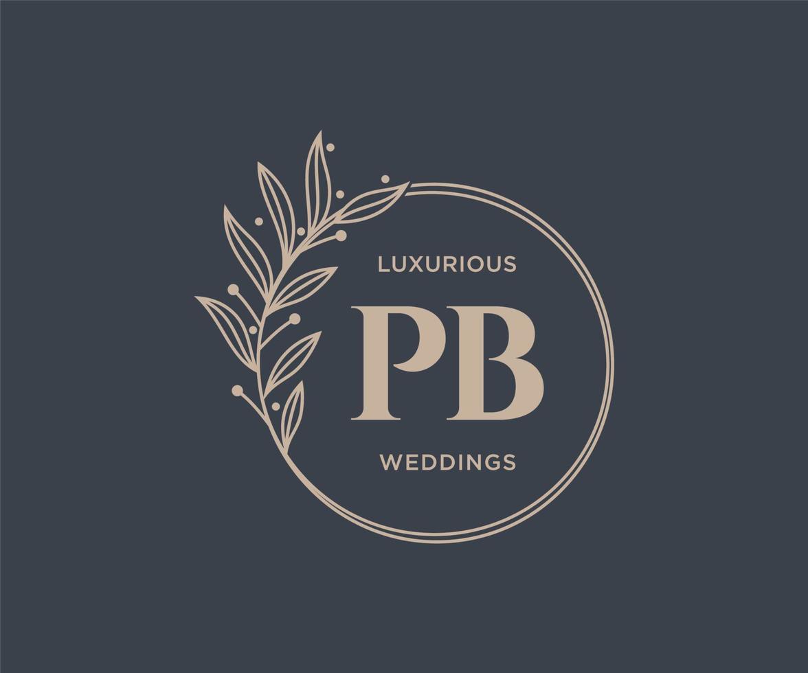 pb initialen brief bruiloft monogram logos sjabloon, hand- getrokken modern minimalistisch en bloemen Sjablonen voor uitnodiging kaarten, opslaan de datum, elegant identiteit. vector