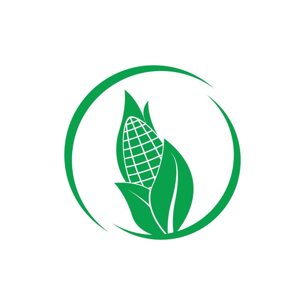 maïs icoon vector illustratie logo ontwerp