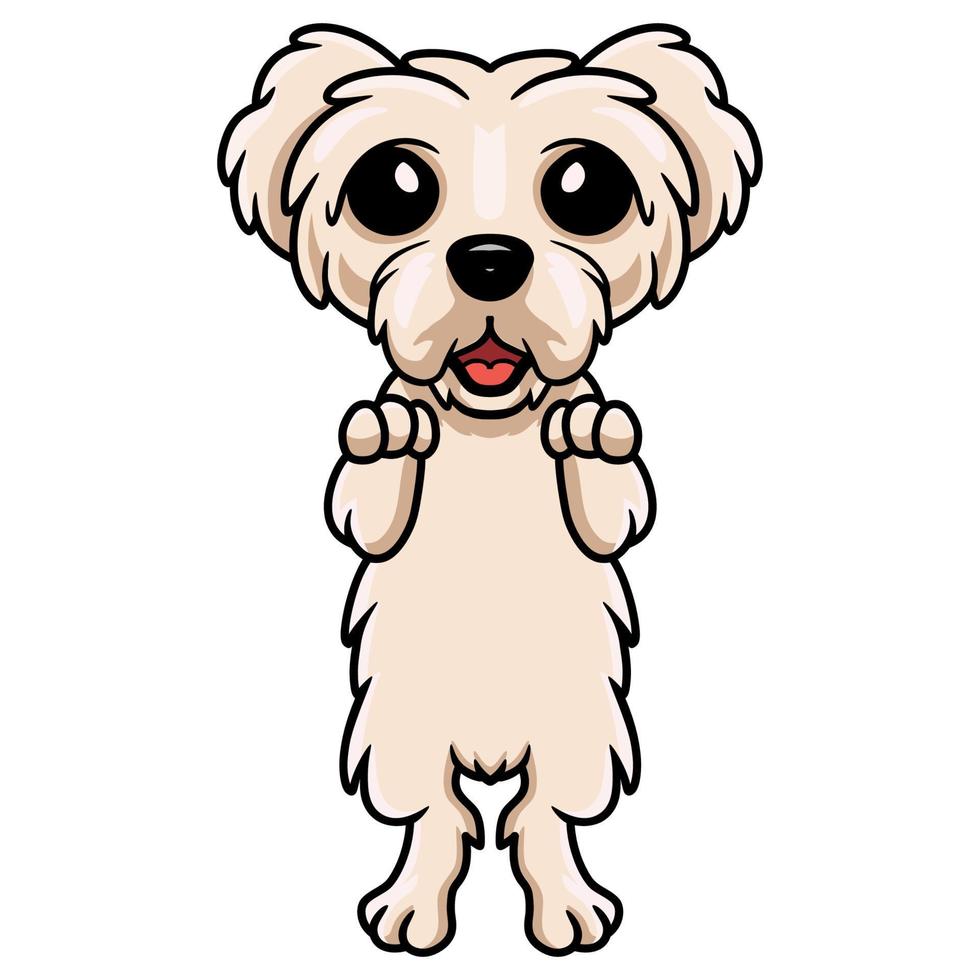 schattig Maltees puppy hond tekenfilm vector