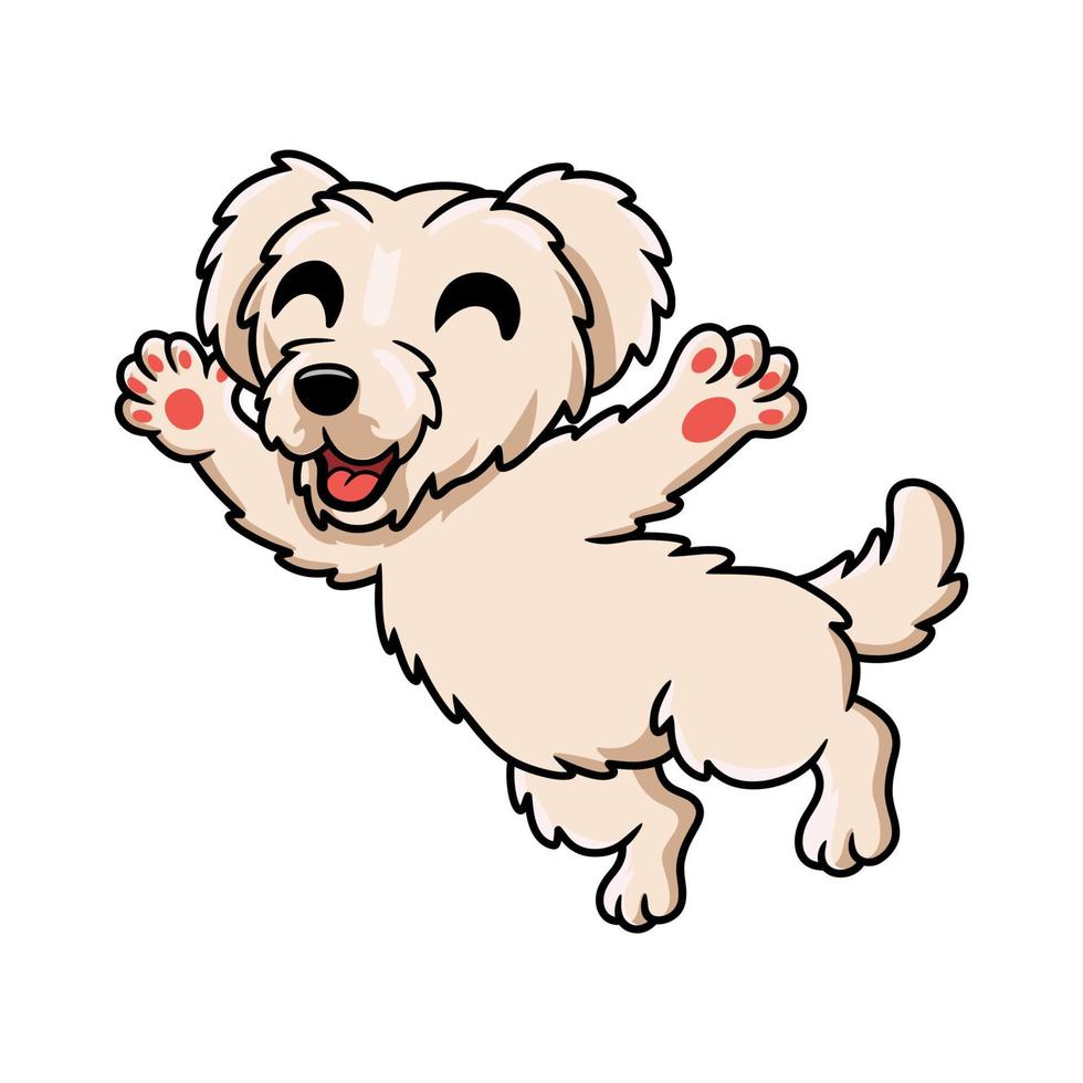 schattig Maltees puppy hond tekenfilm vector