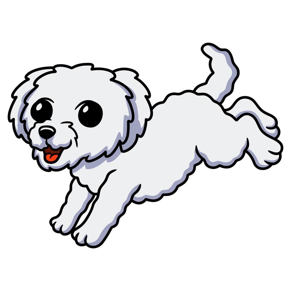 schattig bichon frise tekenfilm jumping vector