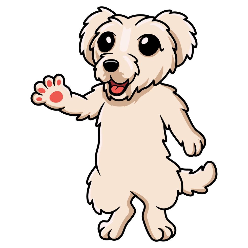 schattig Maltees puppy hond tekenfilm vector