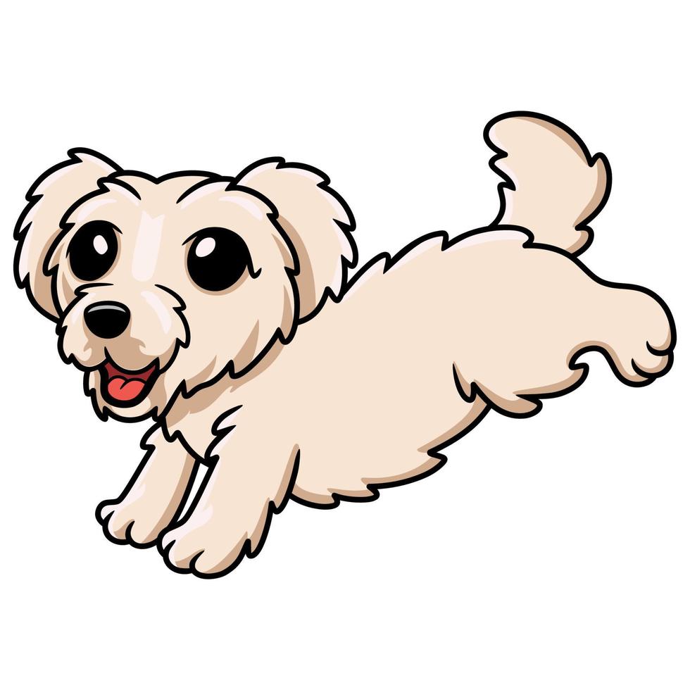 schattig Maltees puppy hond tekenfilm vector