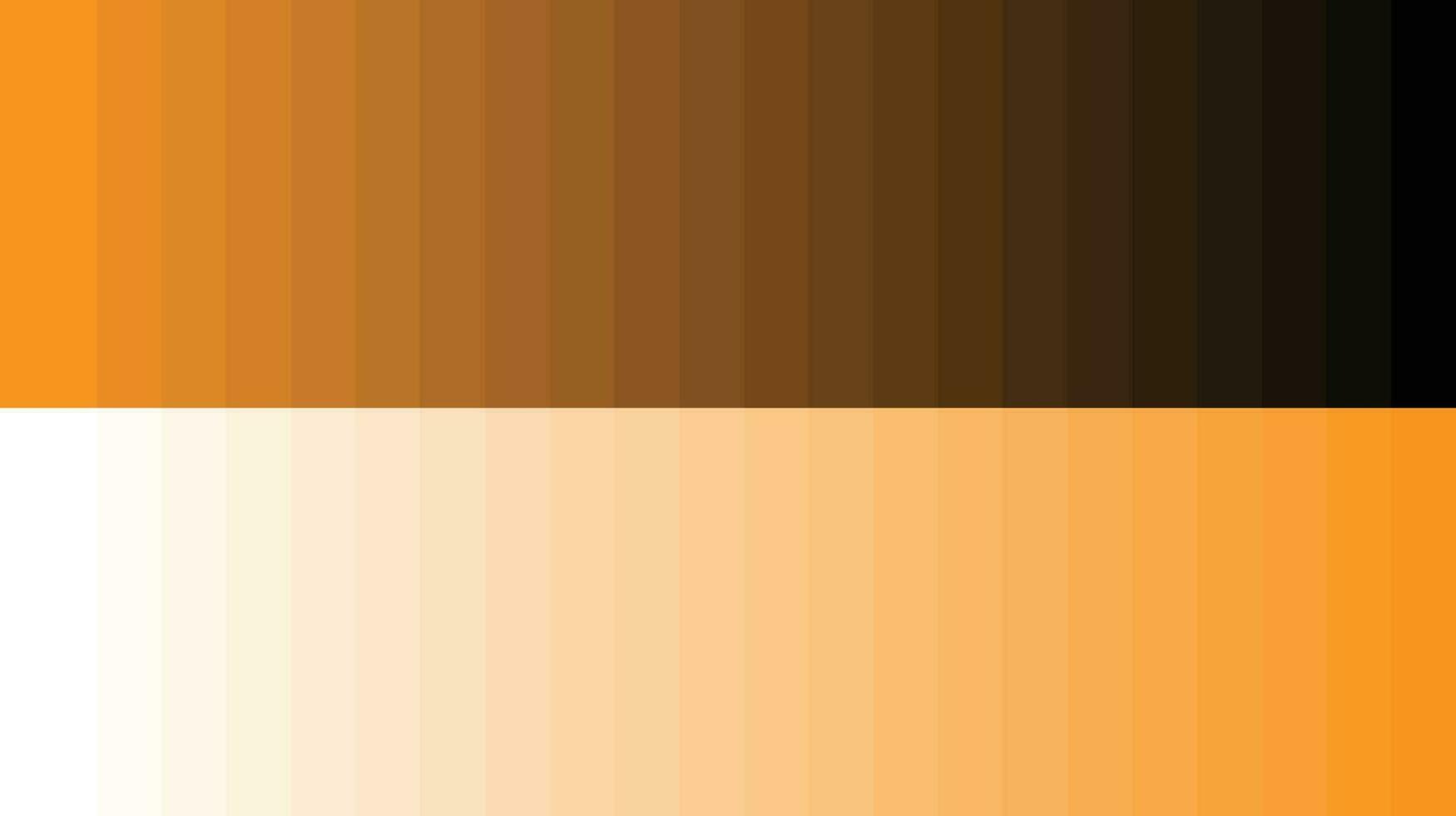 kleur palet oranje vector