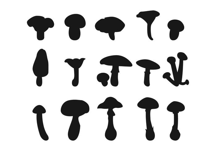 Paddestoelen vector